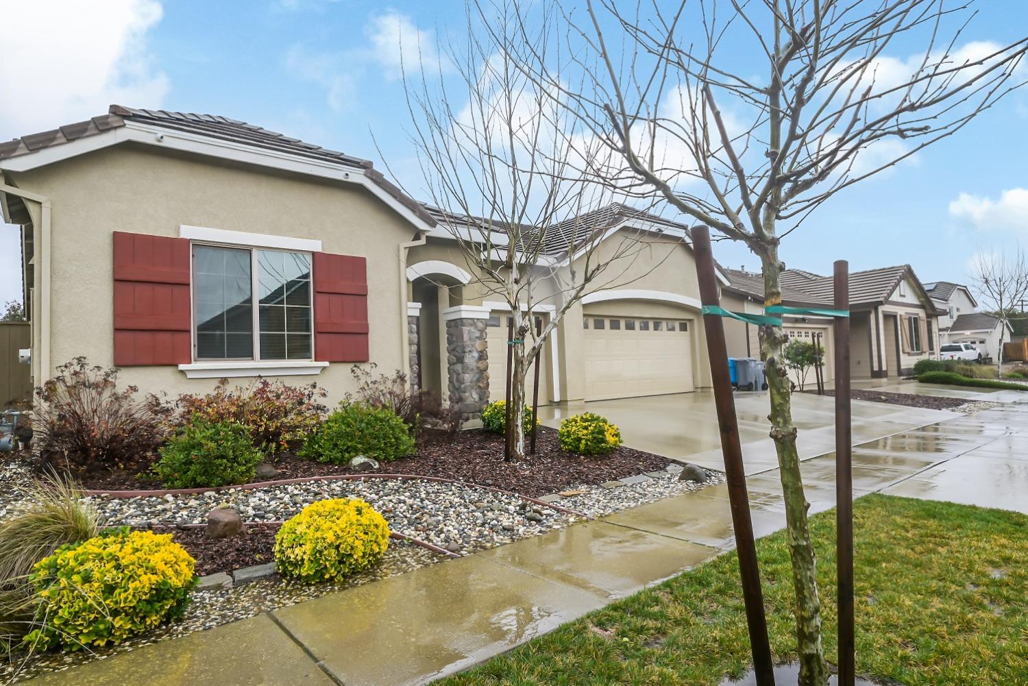 5531 Peach Tree Drive