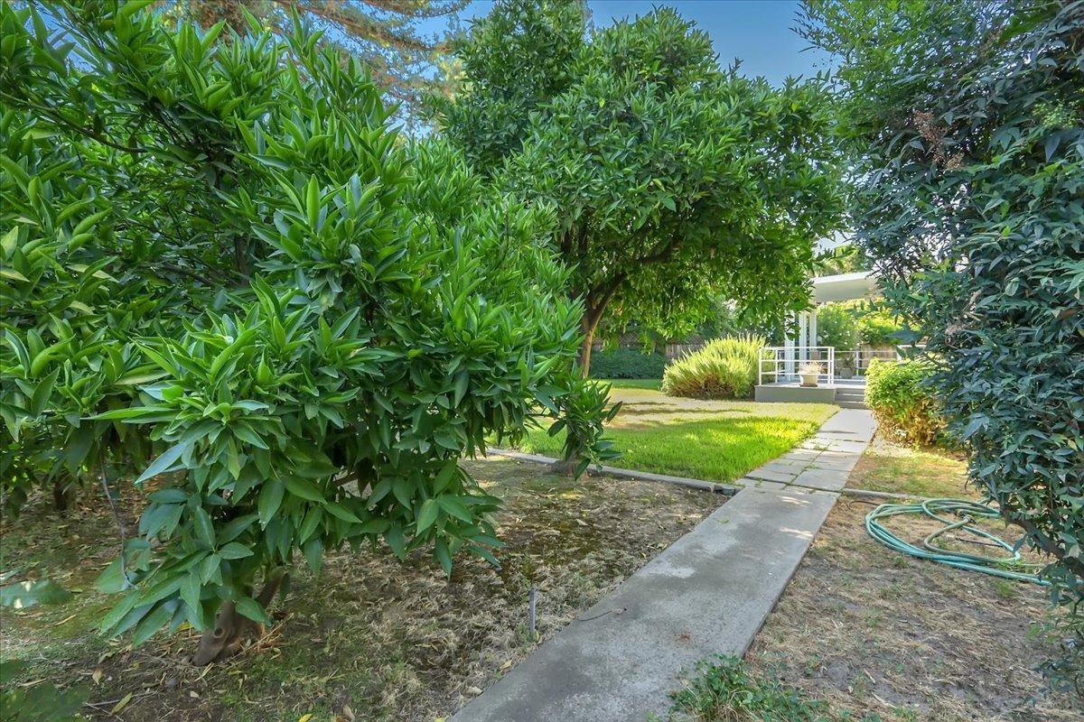484 Camino Cortez