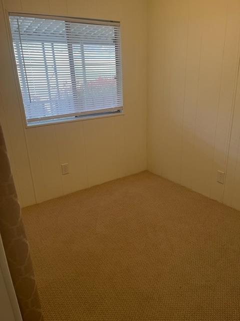 Empty beige-carpeted room with paneled walls and a window with closed blinds.