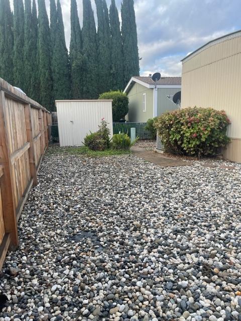 Gravel side yard with a wooden fence, small shed, shrubs, and tall cypress trees.
