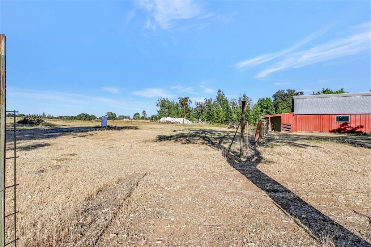 12661 Shorthorn Road