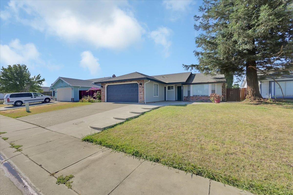 Single-story home with brick accents, a dark garage door, wide driveway, and large front-yard tree.