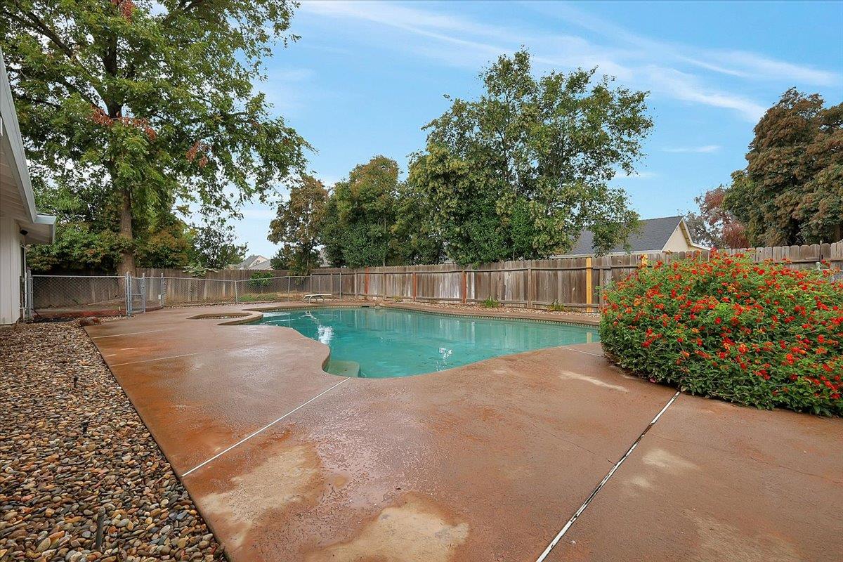 1571 Holly Tree Drive