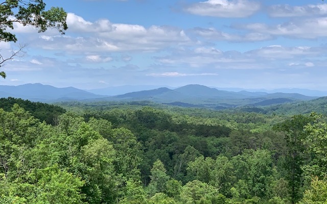 LT 24 Staurolite Mountain