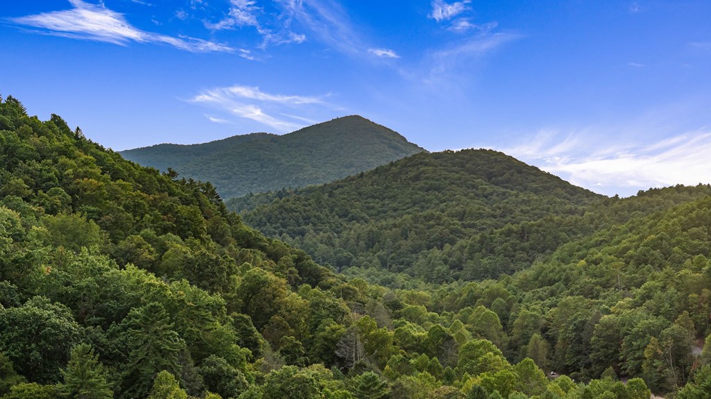 lot 1 Stanley Creek Overlook
