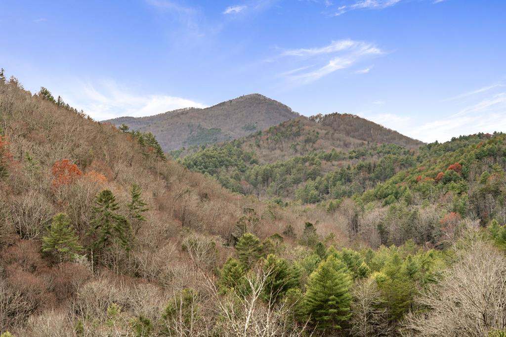 lot 1 Stanley Creek Overlook