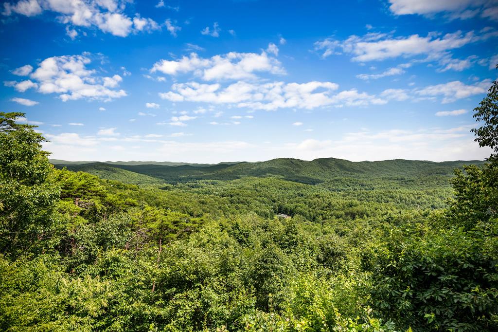 463 Big Sky Trail