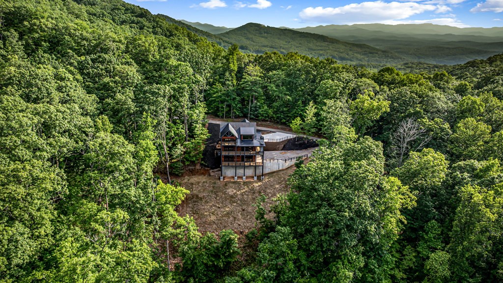 395 Pontoosuc Drive, Mineral Bluff