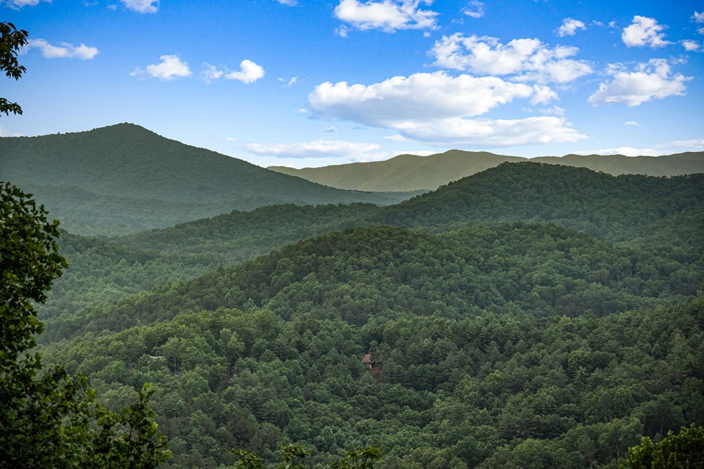 395 Pontoosuc Drive, Mineral Bluff