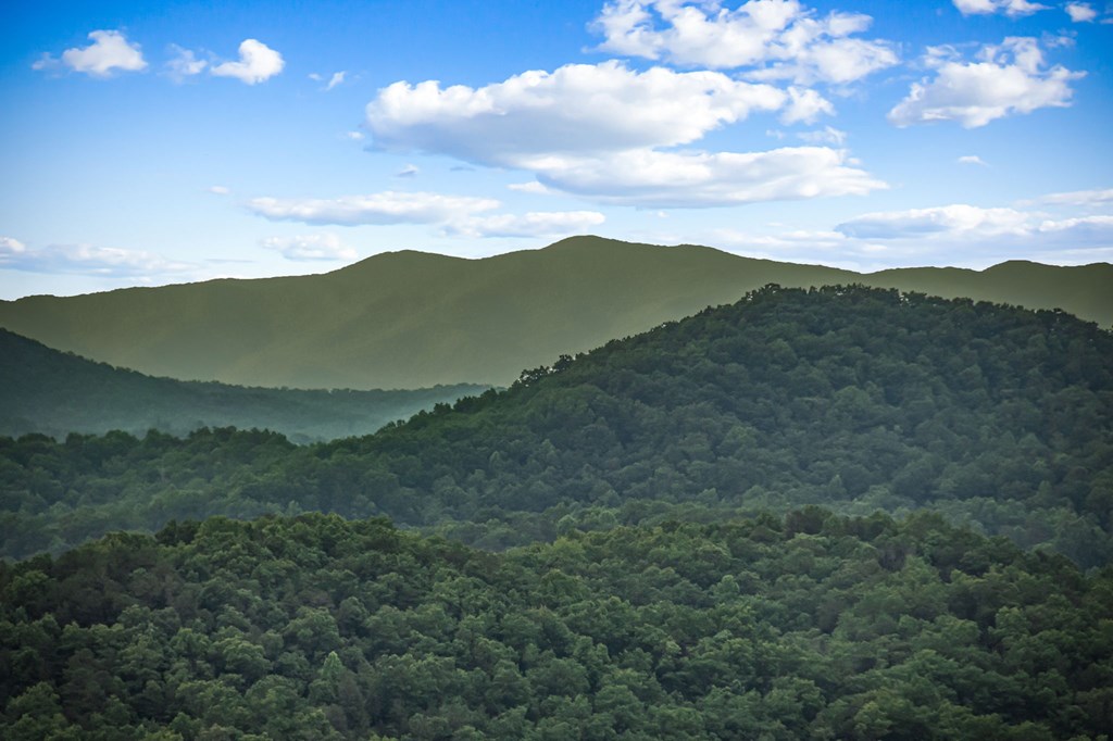 395 Pontoosuc Drive, Mineral Bluff