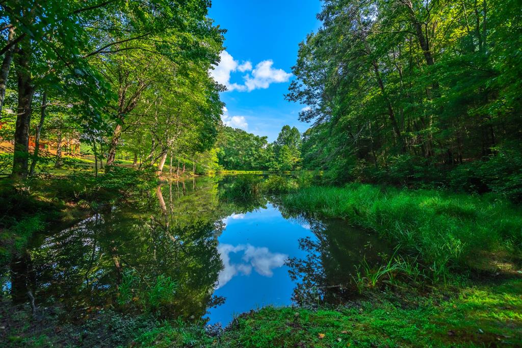 300 Cloudland Trace, Epworth