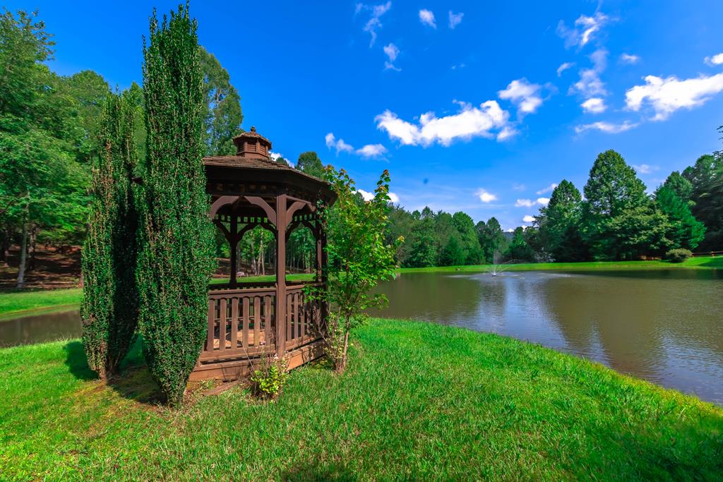 300 Cloudland Trace, Epworth