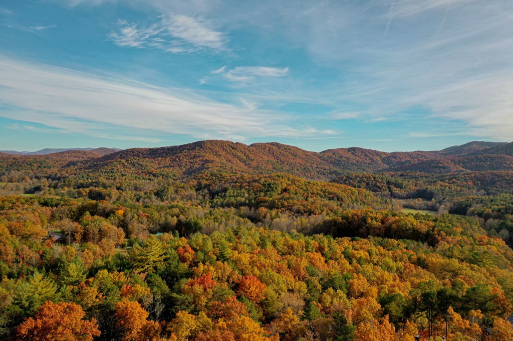 300 Cloudland Trace, Epworth