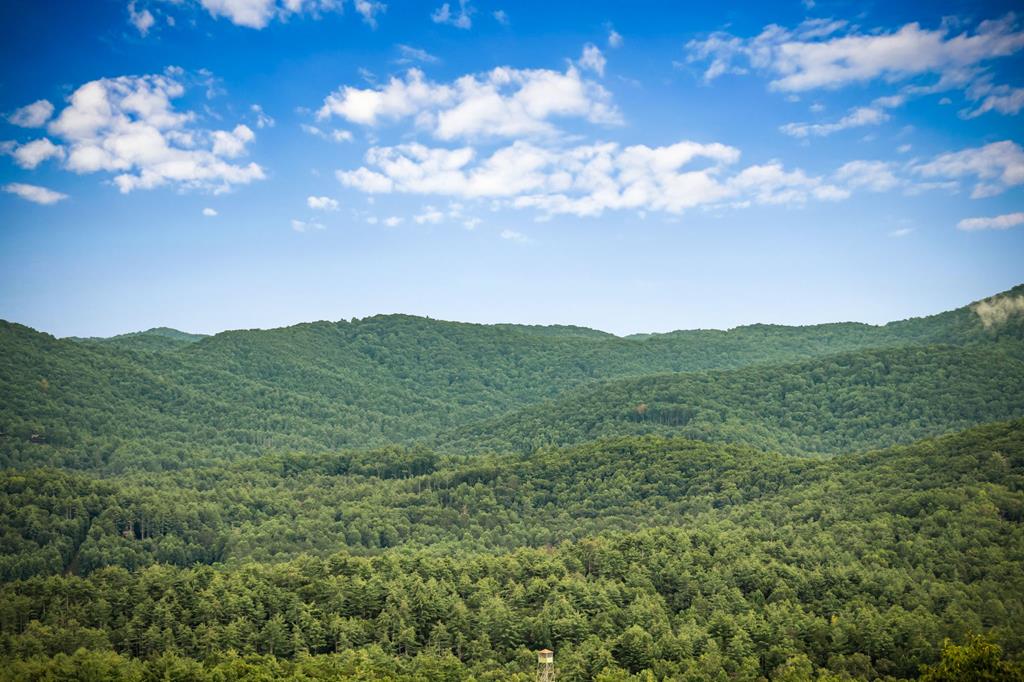 463 Big Sky Trail, Epworth