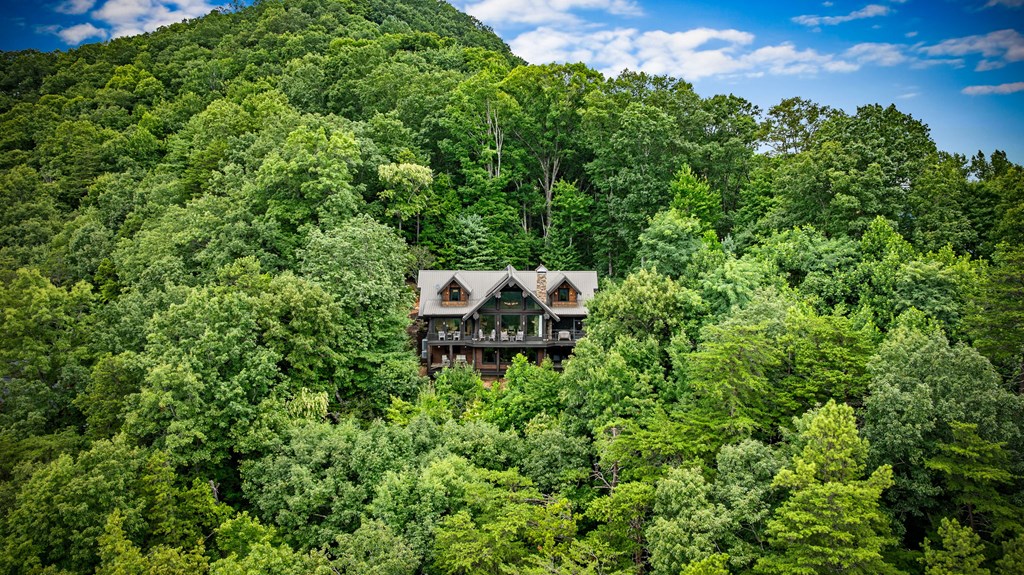 463 Big Sky Trail, Epworth