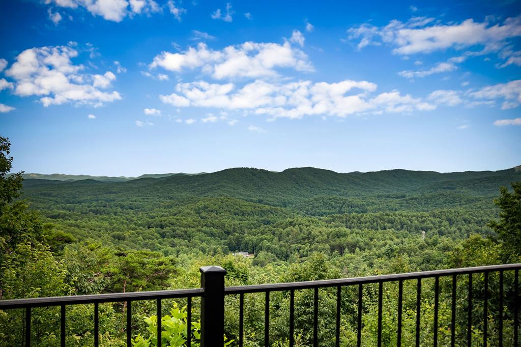 463 Big Sky Trail, Epworth