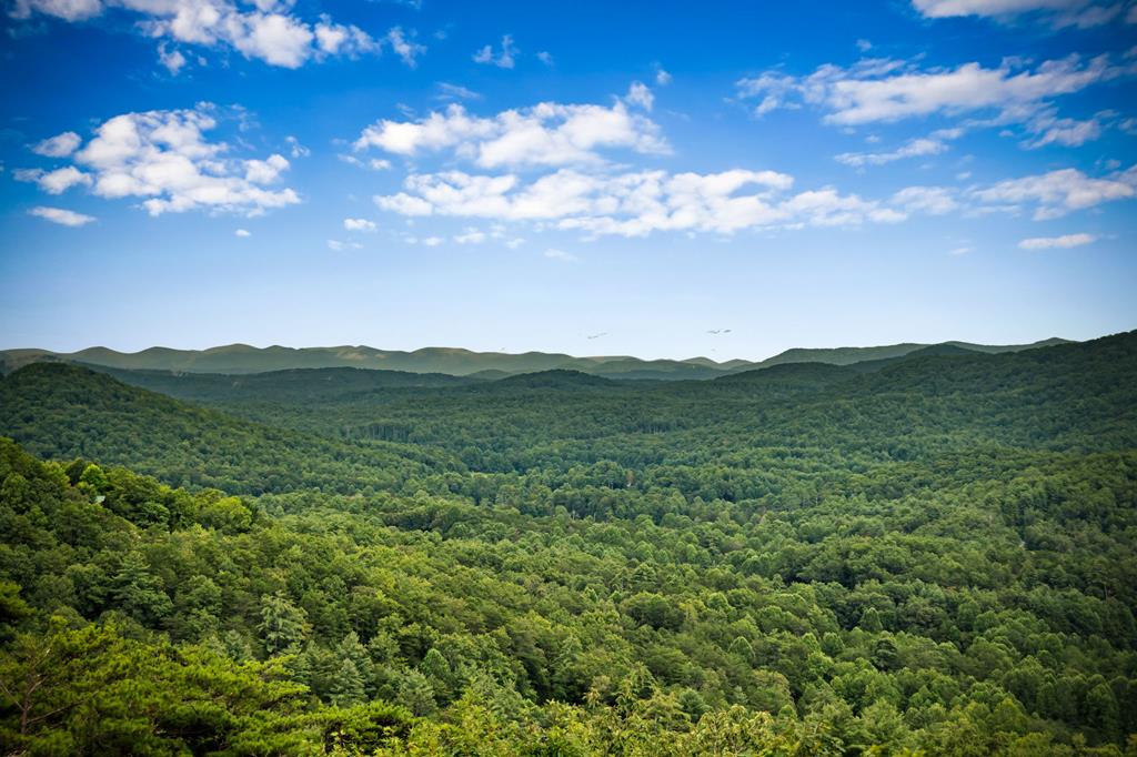 463 Big Sky Trail, Epworth