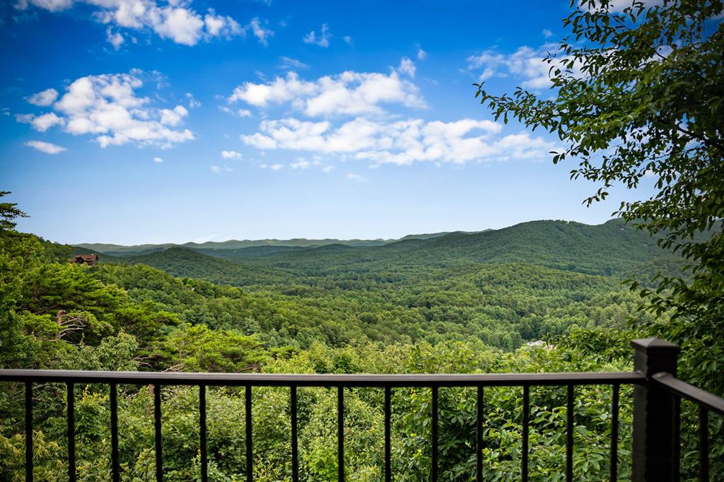 463 Big Sky Trail, Epworth
