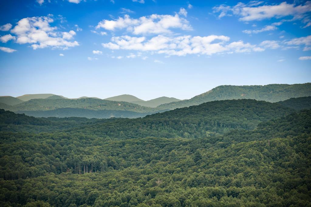 463 Big Sky Trail, Epworth