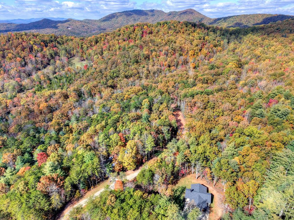 0 Pinelog Road, Young Harris