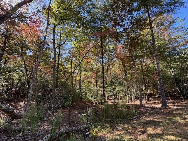 0 Pinelog Road, Young Harris