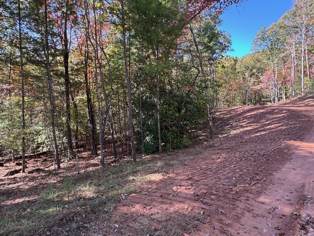 0 Pinelog Road, Young Harris