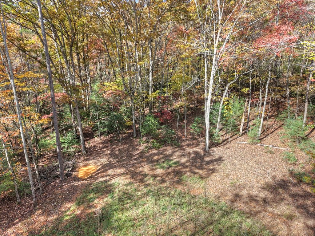 0 Pinelog Road, Young Harris