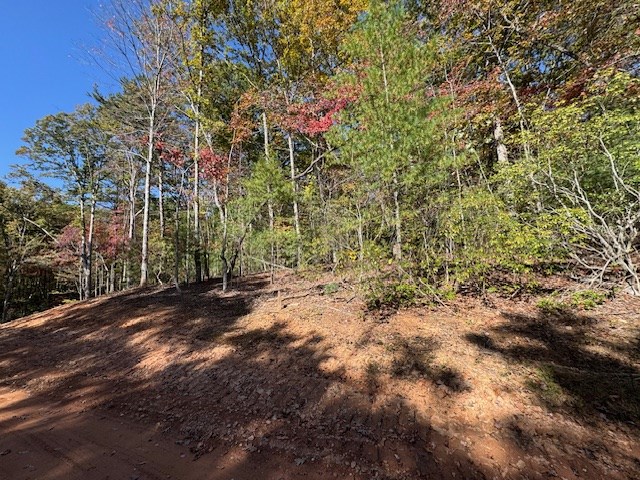 0 Pinelog Road, Young Harris