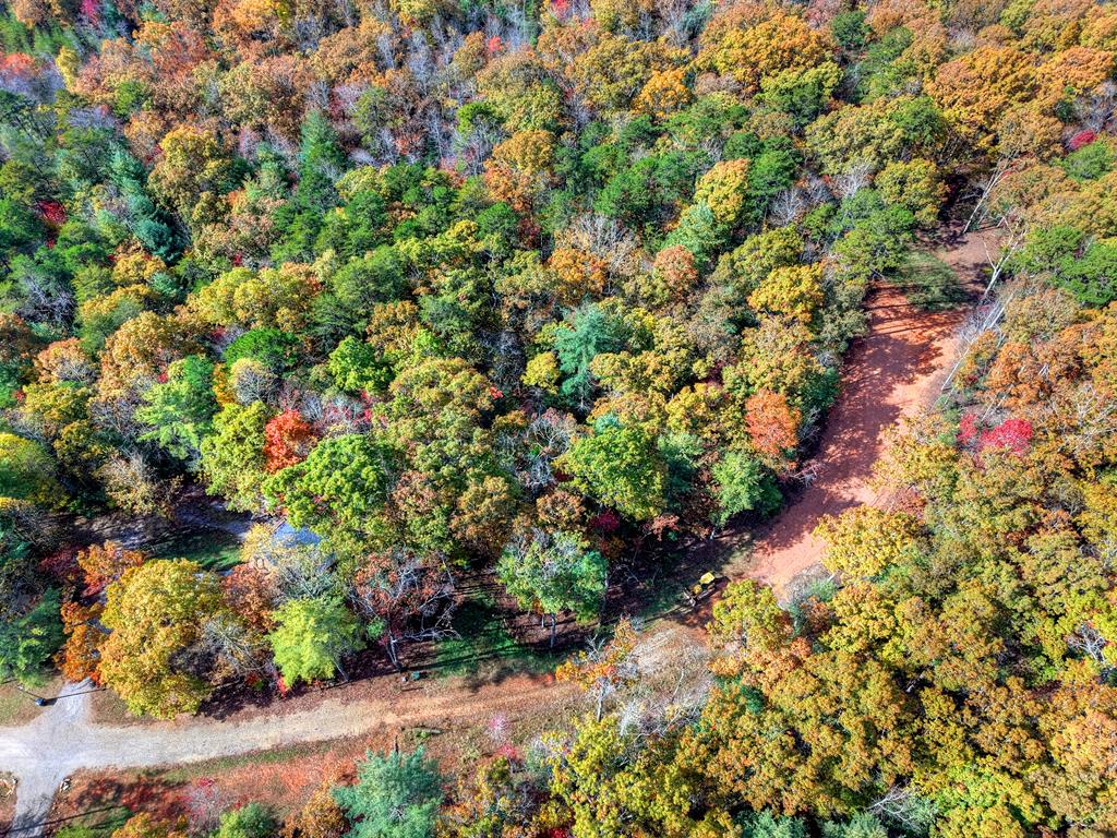 0 Pinelog Road, Young Harris