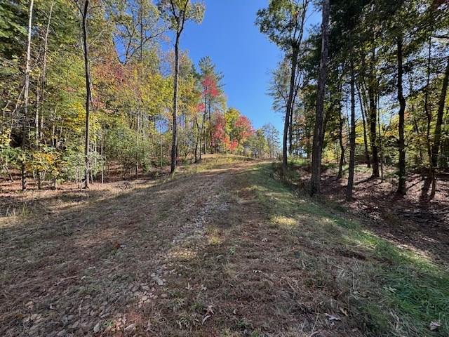 0 Pinelog Road, Young Harris