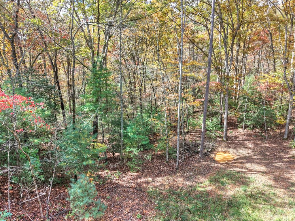 0 Pinelog Road, Young Harris