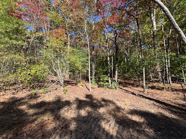 0 Pinelog Road, Young Harris