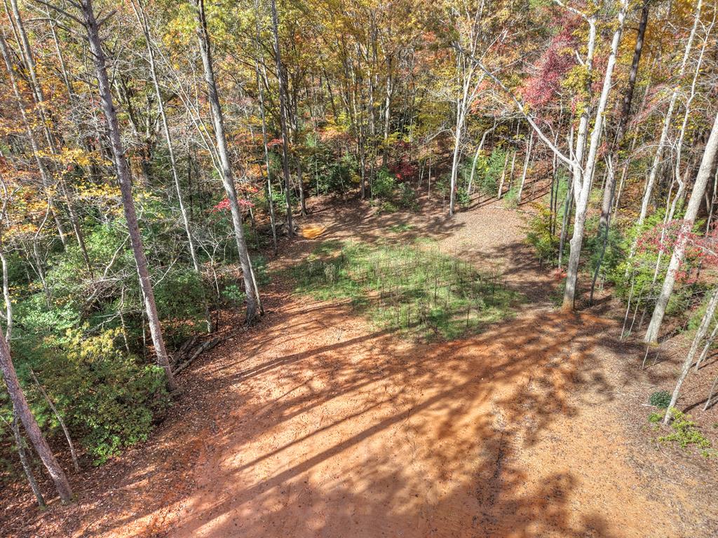 0 Pinelog Road, Young Harris