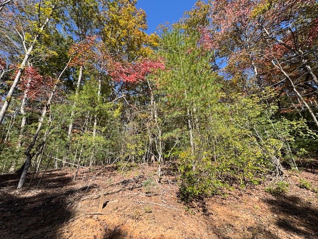 0 Pinelog Road, Young Harris