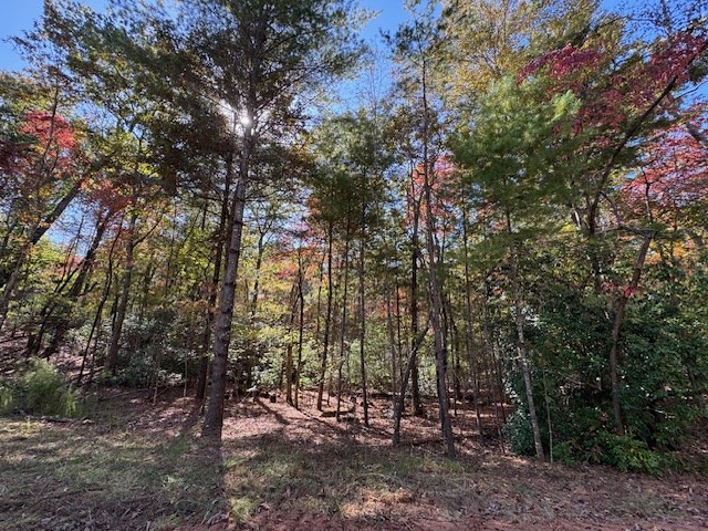 0 Pinelog Road, Young Harris