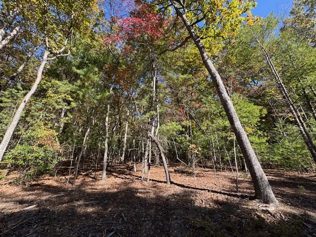 0 Pinelog Road, Young Harris