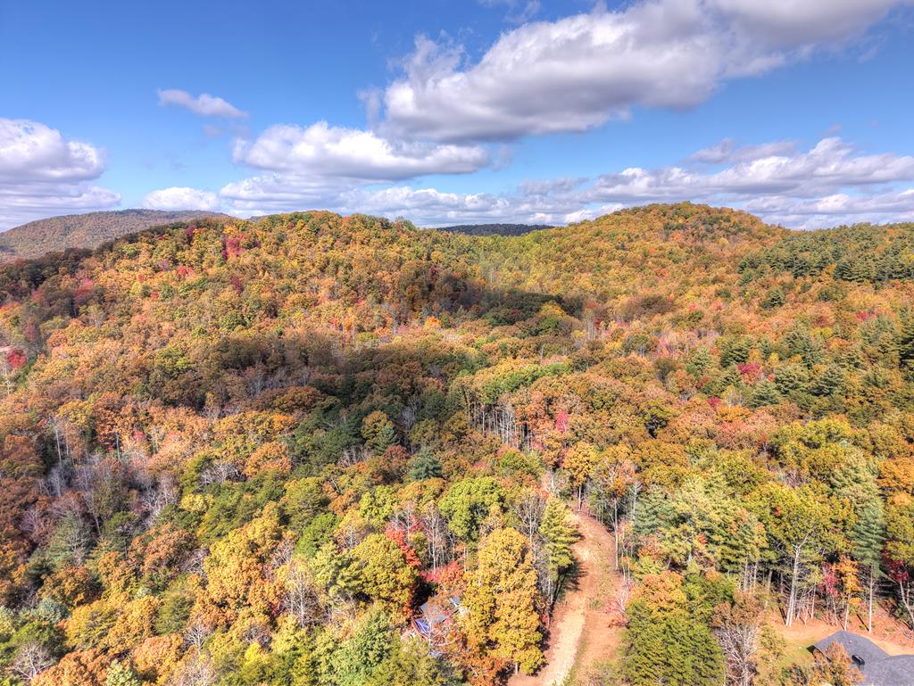 0 Pinelog Road, Young Harris