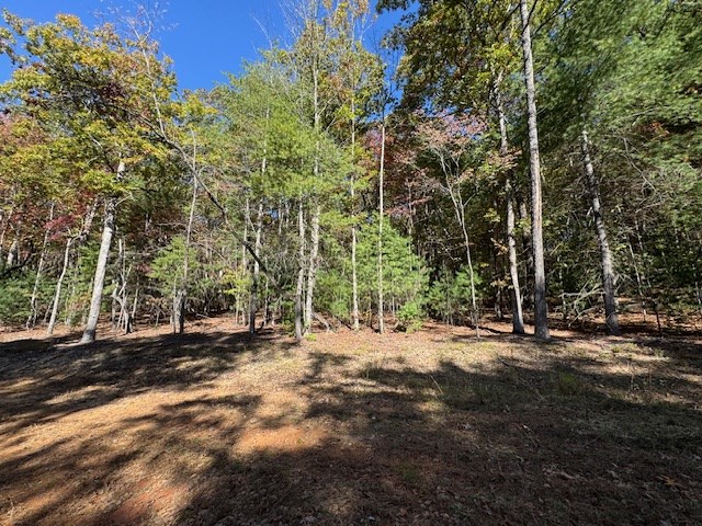 0 Pinelog Road, Young Harris