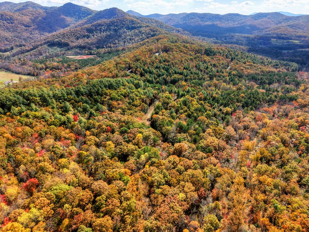 0 Pinelog Road, Young Harris