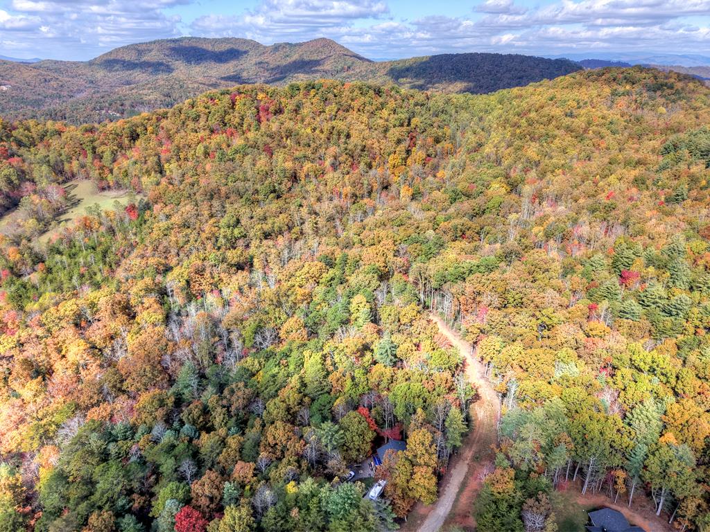 0 Pinelog Road, Young Harris