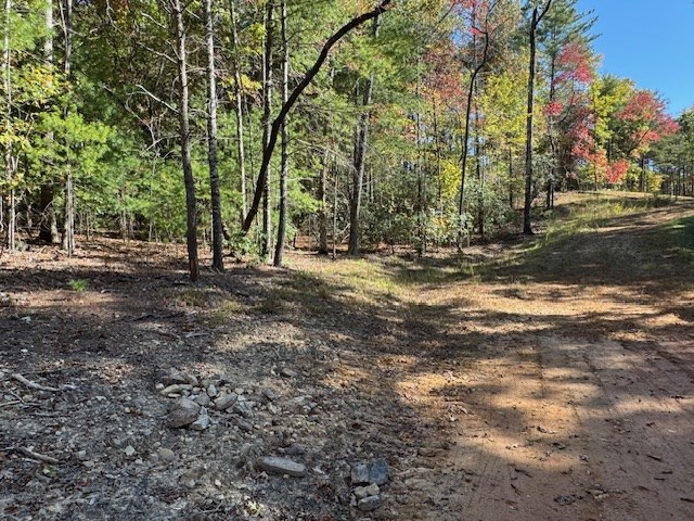 0 Pinelog Road, Young Harris