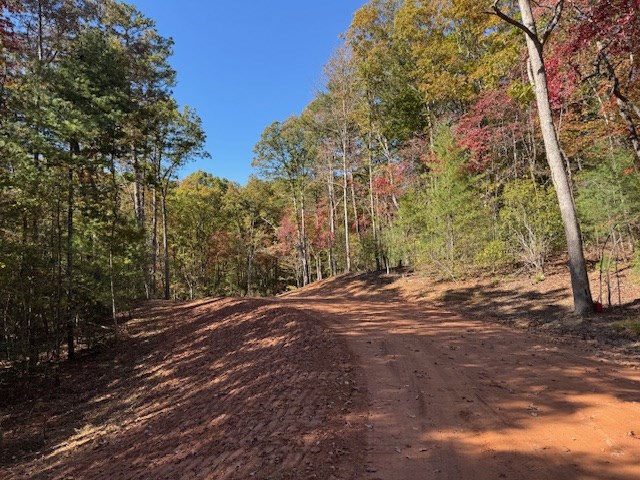 0 Pinelog Road, Young Harris