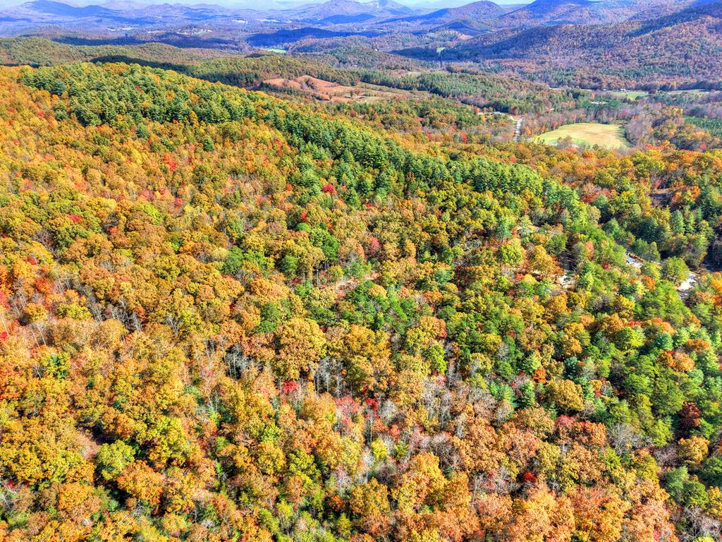 0 Pinelog Road, Young Harris