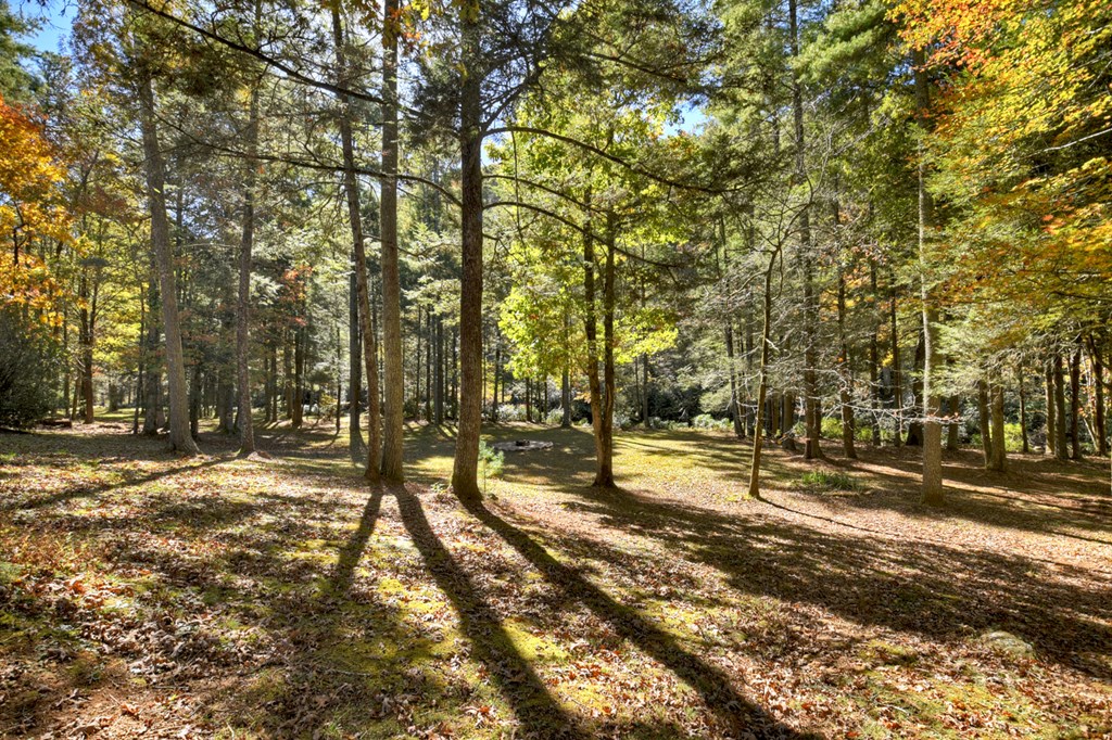 144 Chase Hollow Lane, Suches