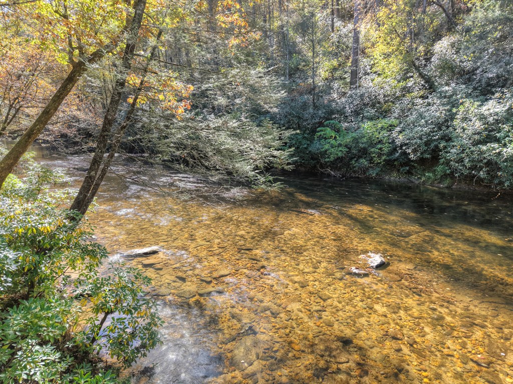 144 Chase Hollow Lane, Suches