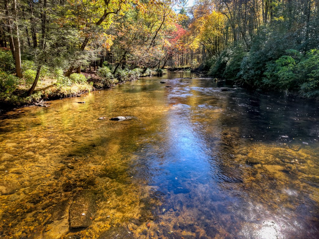 144 Chase Hollow Lane, Suches