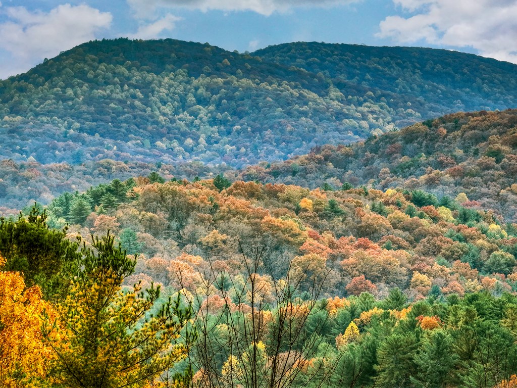 654 Stover Knob Trail