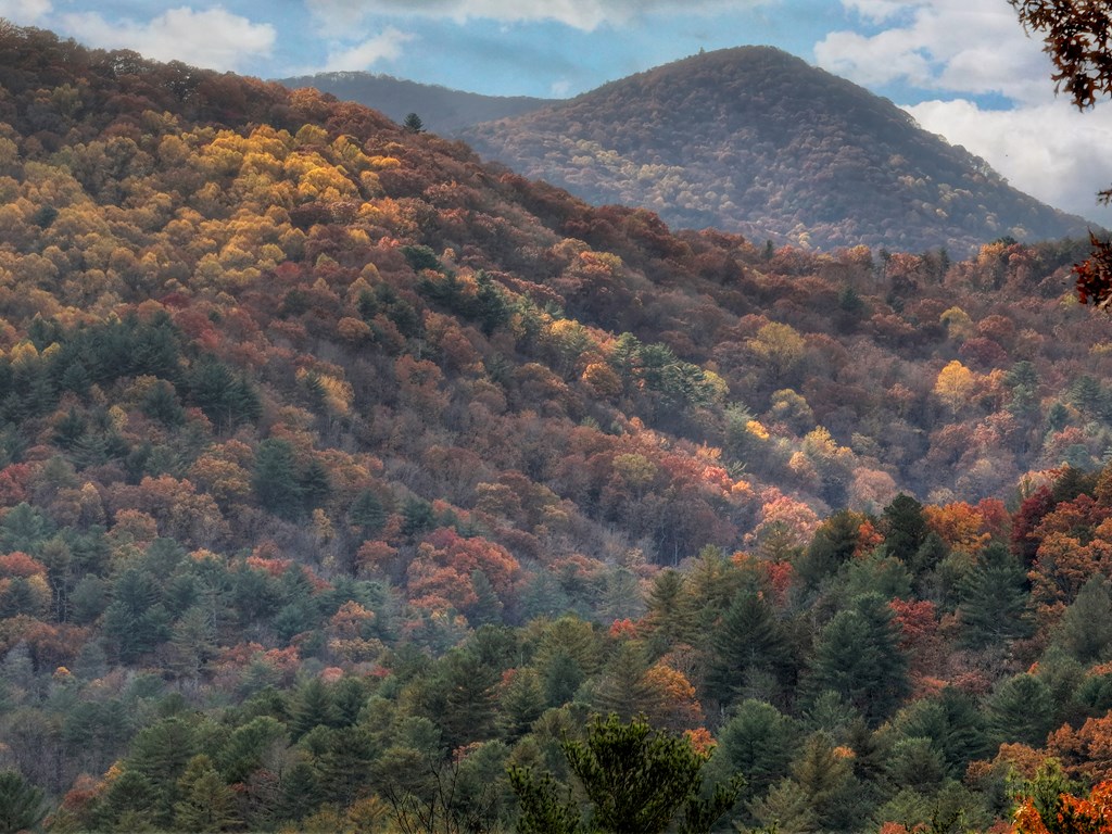 654 Stover Knob Trail