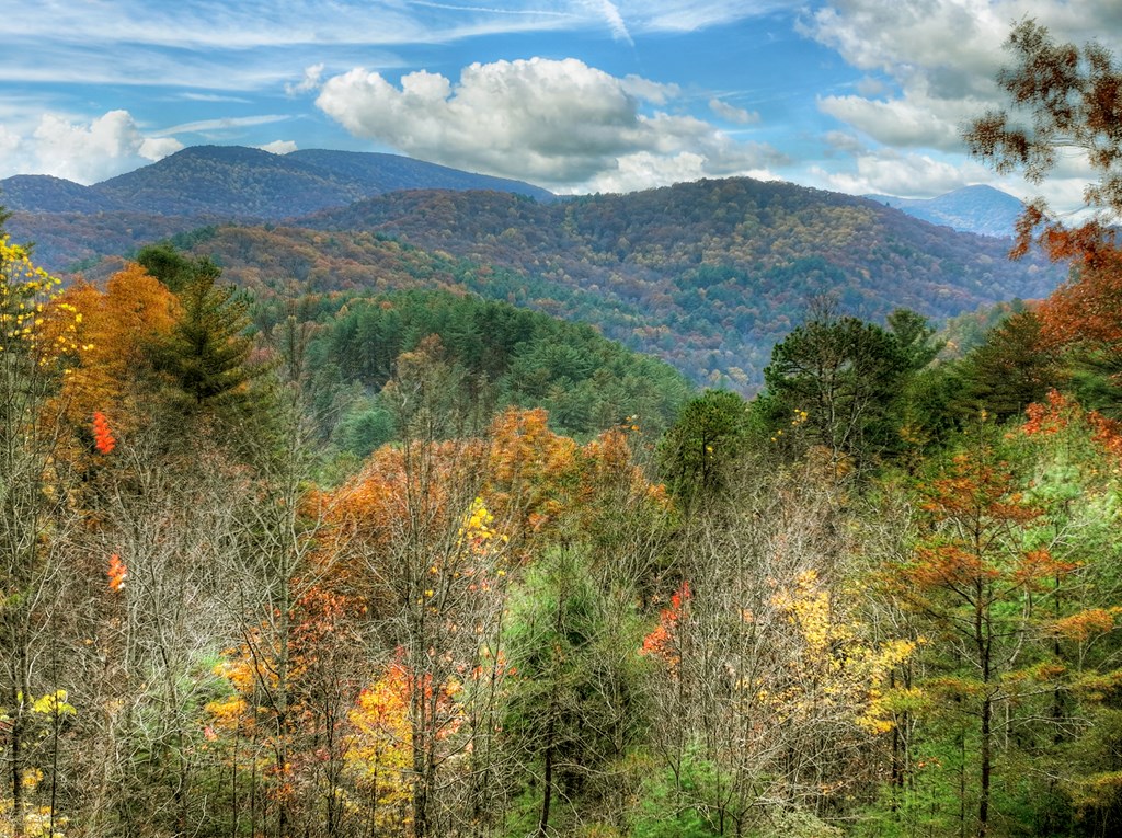 654 Stover Knob Trail