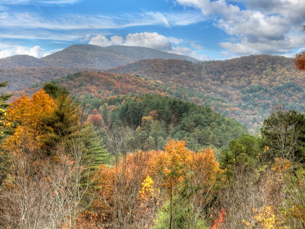 654 Stover Knob Trail